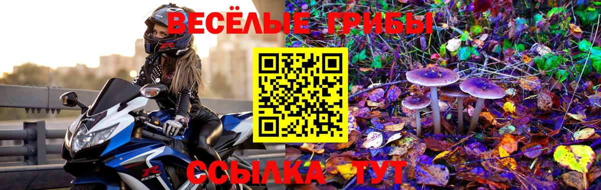 Кинешма  Псилоцибиновые грибы мухоморы  Вход с VPN  Галлюциногенные грибы Psilocybe 